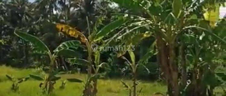 TOP URGENT DI JUAL TANAH LOKASI PEJENG UBUD GIANYAR 1