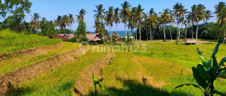 TOP URGENT DI JUAL TANAH VIEW LAUT & SAWAH LOKASI LALANGLINGGAH SELEMADEG TABANAN
 1