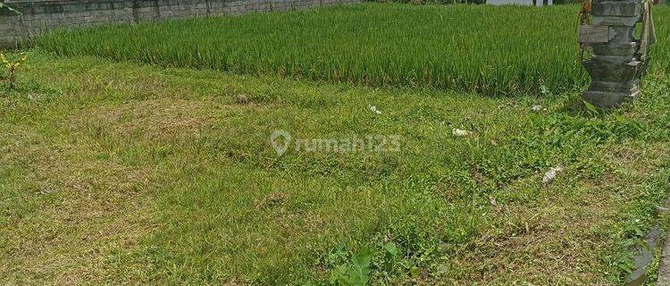 TOP URGENT DI JUAL TANAH LOKASI PEJENG - TEGALLALANG UBUD GIANYAR 1