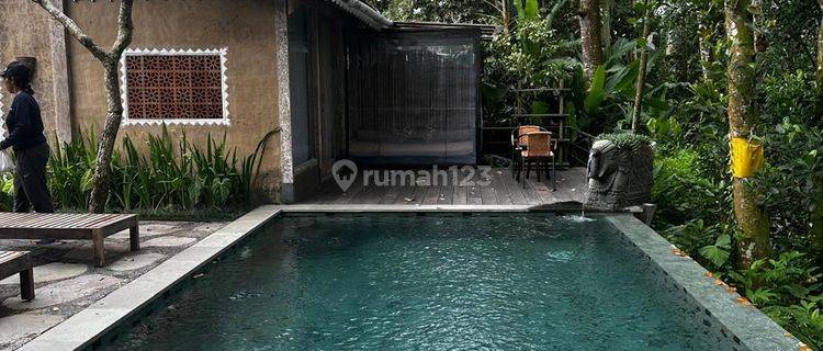 TOP URGENT DI JUAL VILLA VIEW HUTAN & SUNGAI LOKASI PAYANGAN UBUD GIANYAR 
 1