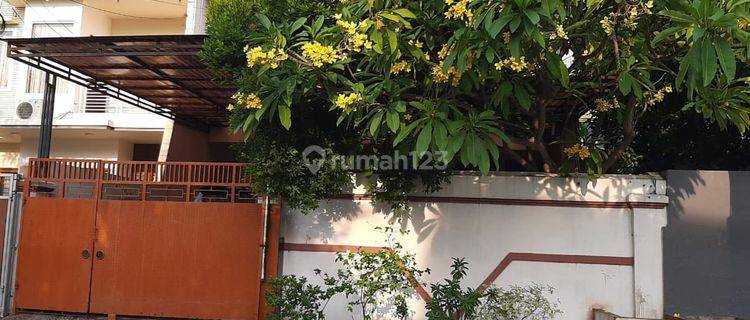 Jual Rumah Bagus di Sunter 1