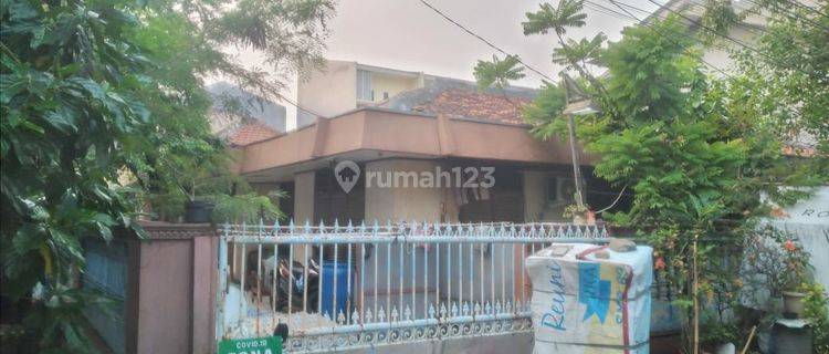 Jual Cepat Rumah Tanjung Duren Hoek Murah SHM Butuh Renovasi 1