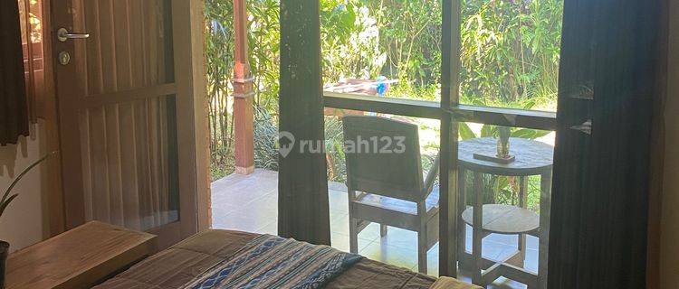 Room For Rent In Ubud Apartemen 1 Kamar Tidur 1