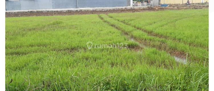 Dijual tanah seluas 2800 m² 1