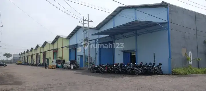 Disewakan Gudang Sinar Buduran 2 1