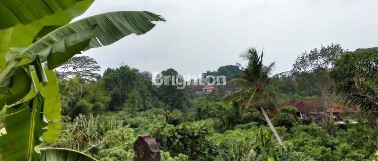 DISEWAKAN TANAH KHUSUS JANGKA PANJANG TABANAN 1