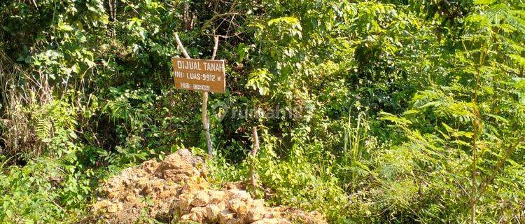 Dijual Tanah di Cipanas Lebak, Propinsi Banten 1