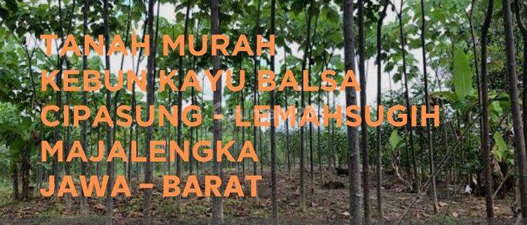 Kebun Kayu Balsa - Majalengka - 40 Ha 1