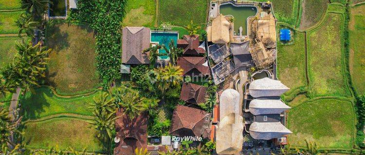 Ricefields View Cottage For Leasehold in Keliki, Gianyar 1