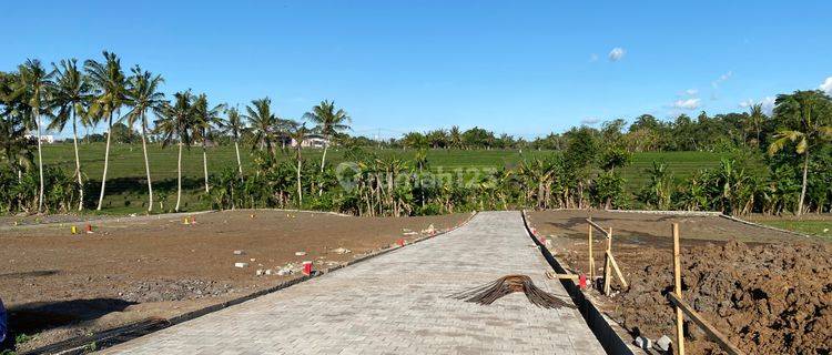 Dijual Murah Tanah Kavling di Tanah Puri Tabanan SIAP Dibangun  1