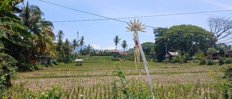 Spacious Strategic Land On The Main Road Gilimanuk Seririt 1