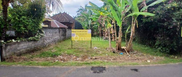 Dijual tanah 3,9 are siap dibangun di Kaliasem Singaraja 1