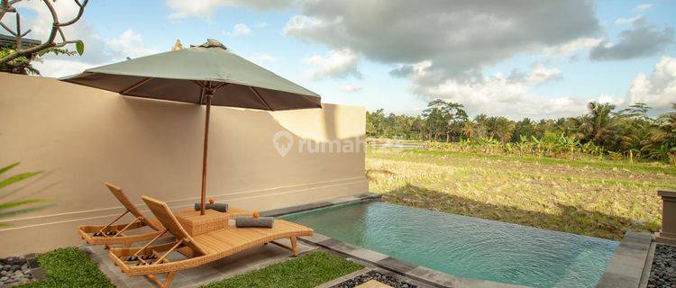 For Rent Peaceful And Relaxed Villa With Ricefield View In Ubud  1