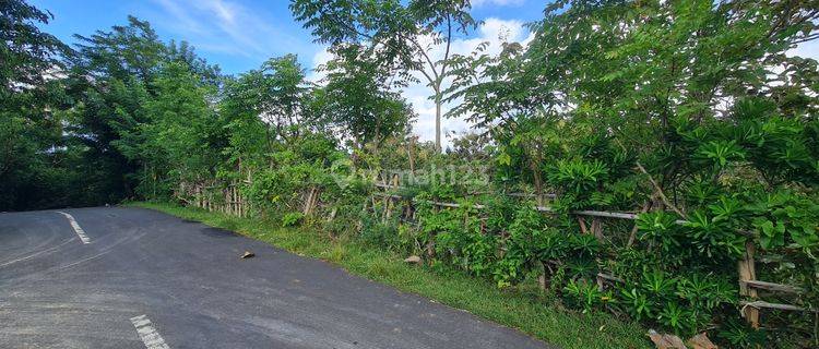 Tanah Langka Cocok Untuk Komersil Pinggir Jalan Raya Pecatu 1