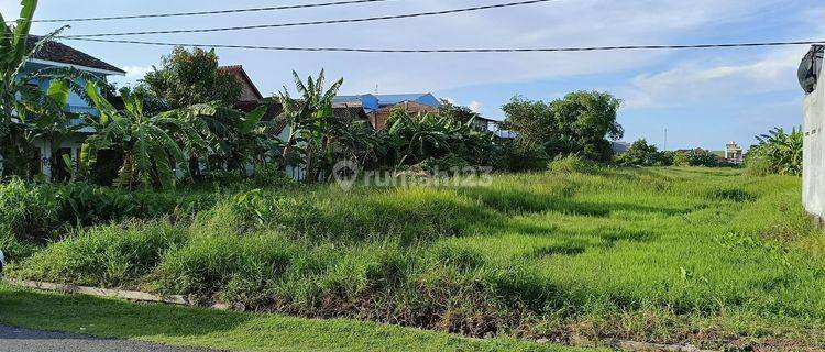 Tanah Strategis Di Kelurahan Krampyangan Kecamatan Bugul Kidul Pasuruan Kota Tanah 1