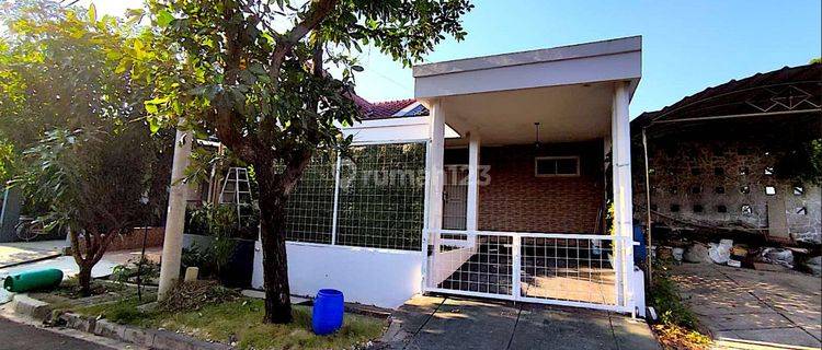 Rumah Keluarga Di Lingkungan Nyaman Beverly Cluster 1