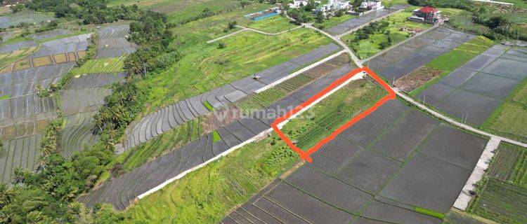 Tanah Zona Pink 700m Ke Pantai Kedungu, Tabanan SHM 1