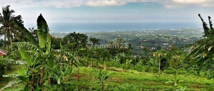 Tanah Dijual Di Buleleng Bali View Pantai Lovina 1