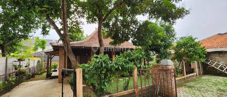 Rumah Etnik Jawa Klasik Asri Nyaman Siap Huni Di Bintaro 1