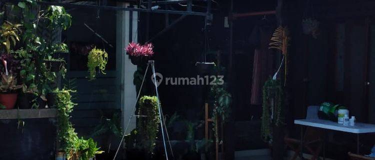 Rumah Semi Villa Di Kerobokan Minimal 10 Tahun Jl 1