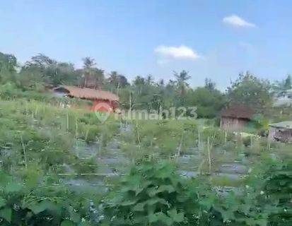 Tanah Dekat Pantai Yeh Gangga Tabanan Db 1