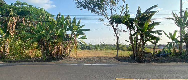 Land For Sale At Banyoe Biroe Bypass Gilimanuk Dd 1