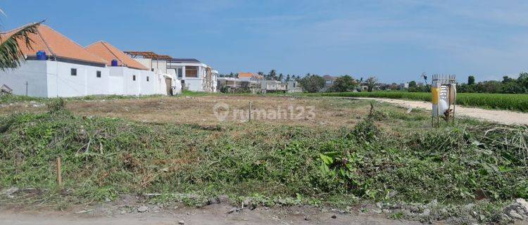 Disewakan Tanah Full View Sawah Di Munggu Dd 2 1