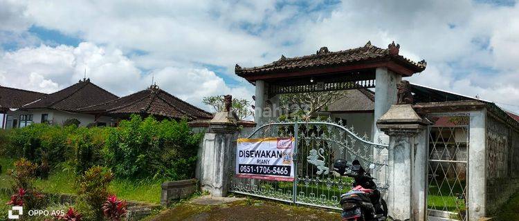 Villa 3 BR di Bedugul Tabanan RI 1