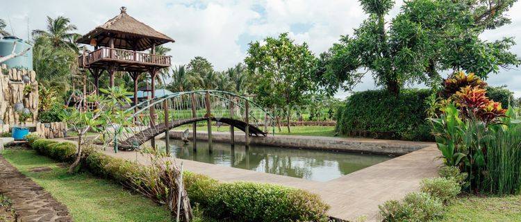 Dijual Villa View Sawah Lokasi Tabanan Lc 1