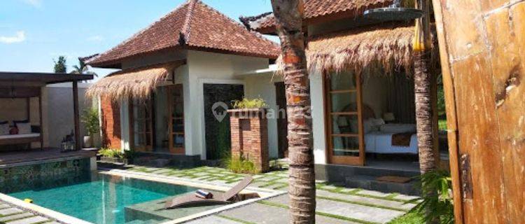 Villa Jual sewa View Sawah Di Canggu Akses Jalan Lc 1