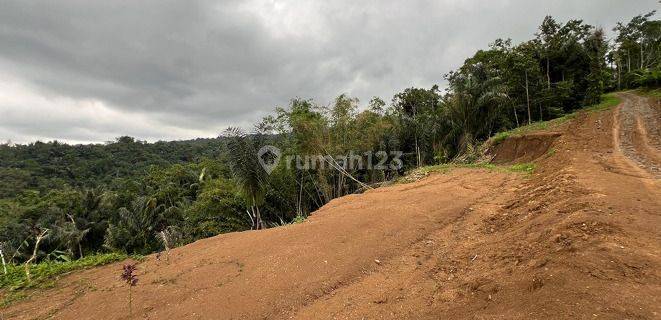 The Throne Land Cluster 2 Di Penebel Tabanan Rd 1