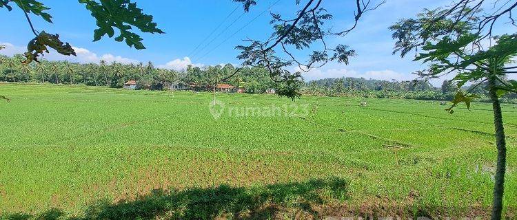 Tanah 3 Km Dari Kota Cianjur Zona Kuning 1