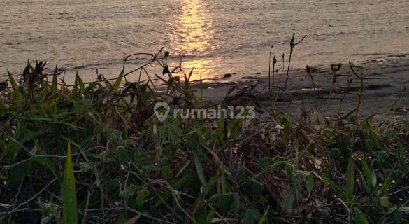 Dijual Tanah Langsung Pantai Sumba 1