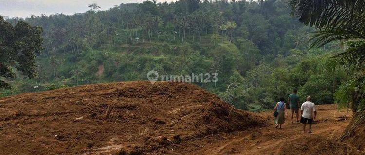 Dijual Tanah 38 Are Daerah Sebatu Tegalalang 1