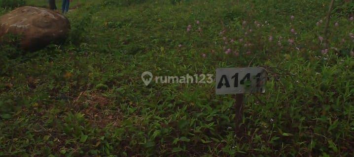 Dijual Tanah Kavling Strategis Murah Dibawah Njop Tanjungsari Bogor 1