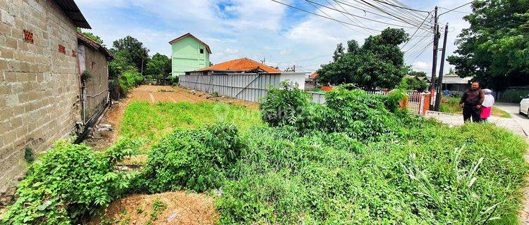 Tanah Zona Kuning Cocok Buat Ternak Dan Gudang 1