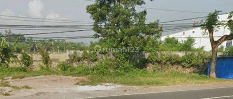 Tanah Zona Kuning Depan Bandara Air Port Lombok Tengah 1