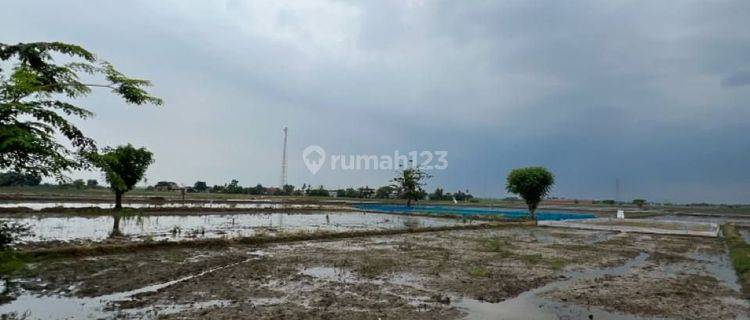 Tanah Di Sukatani Cikarang Cocok Untuk Cluster Rumah 1