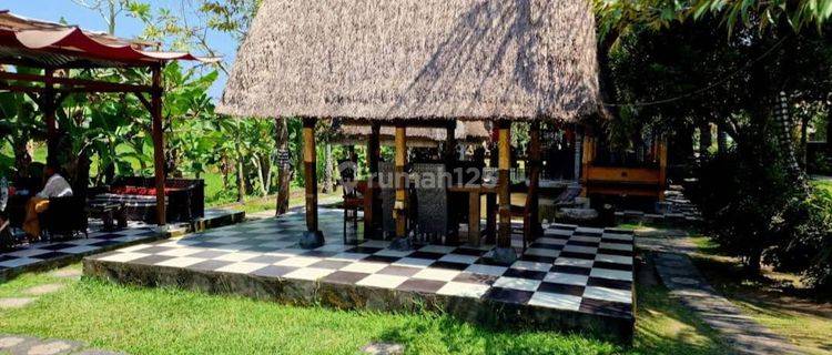 For Sale Ex Restaurant Can Buy Land Without Building (joglo) Price Plus Building 27 Billion Or Jarga Land Without Building IDR 650.000.000 Per Are And Can Buy 15 Are Or 1500m2 in Peliatan Ubud, Ubud 1