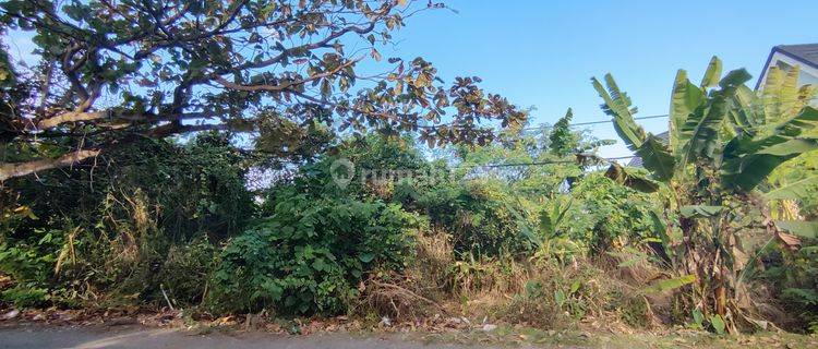 LAND FOR LEASE IN TUMBAK BAYUH PERFECT FOR VILLA OR GUESTHOUSE 1