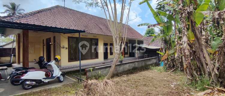 RUMAH 2 KAMAR DI ATAS TANAH LUAS 400M2 DI KELUSA PAYANGAN 1