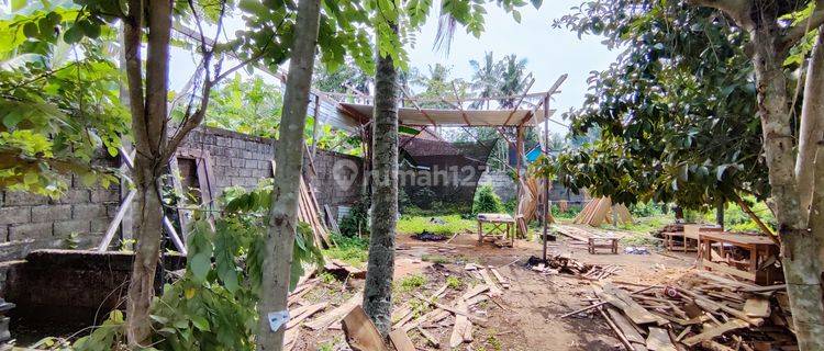 Tanah Datar Siap Bangun di Mengwi Dekat Pura Taman Ayun 1