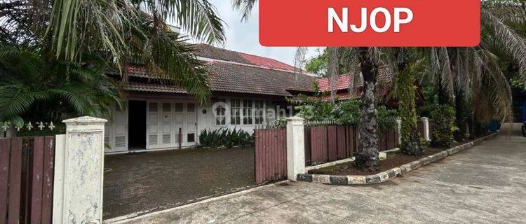 1/2 Harga Njop Rumah Hitung Tanah 1095 M²  1