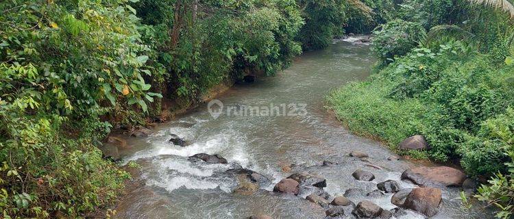 Tanah perkebunan di Sidanglaut luas 20283 m² SHM di Carita Banten 1