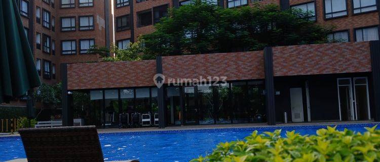 Di Sewa Apartemen The Lloyd 3 BR Alam Sutera Tangerang Bagus Siap Huni  1