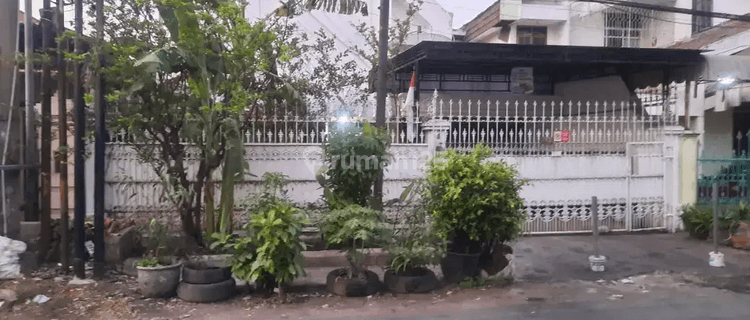 Rumah Pucang Adi Dekat Gubeng, Jl. Sulawesi, Kapasan, Manyar, Kertajaya 1