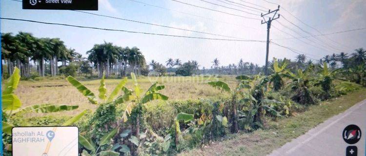 Tanah Komersil Tanjung Lesung Banten.dijual Cepat 1