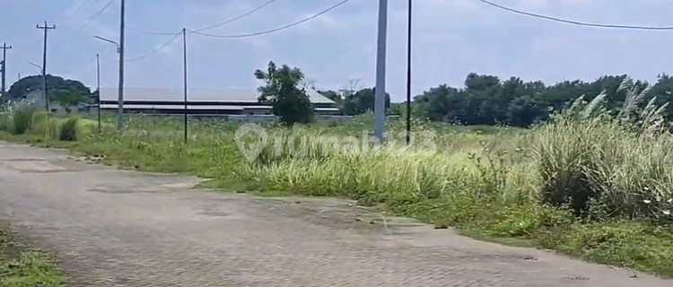 Industrial Land Near Wijaya Kusuma Area, Pantura Main Road, Karanganyar, Tugu, West Semarang 1