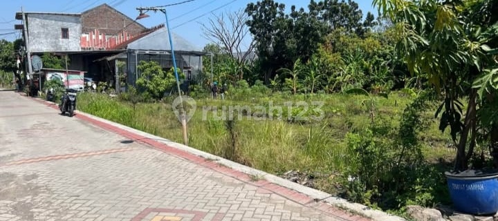 Tanah Dijual Murah SHM Hak Milik di Gasem Wulung Tlogosari Wetan Kec Pedurungan Semarang Timur 1