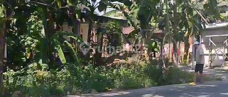 Tanah Disewakan SHM di Jl Raya Sumberejo Meteseh Kec Tembalang Semarang Timur 1